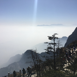 凪光老师的家教日常免费观看全集
